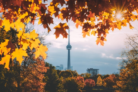 安大略省秋景（图片来源：Destination Toronto）